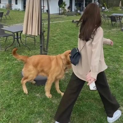 超级情报员麦汉第二集